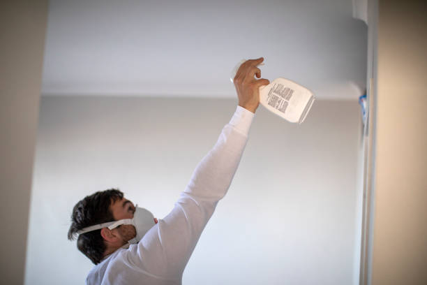Best Localized Mold Remediation (e.g., coastal areas, humid climates) in Line Acres, MO